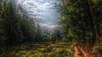 Forest HD
