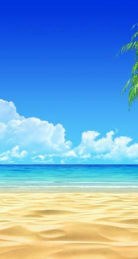 HD Wallpaper Beach Tropical