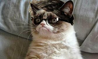 Grumpy Cat Wallpaper