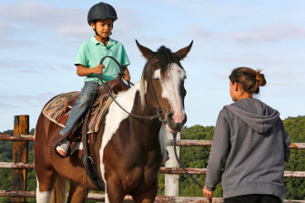 Top Equestrian Wallpaper Full HD 4k To Use