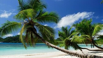 By Admin Comments Off On Seychelles Desktop Wallpaper HD
