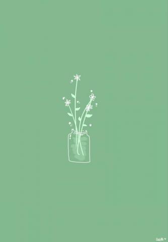 Green Aesthetic Minimalist Background iPhone Wallpaper