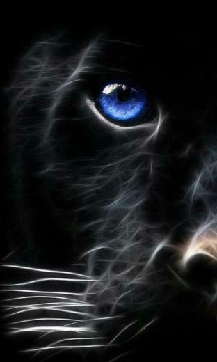Aristien Einstotle On Art Animals Cats Black Panther