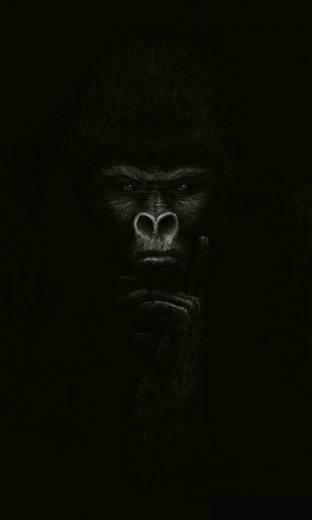 Scream Monkey Google With Image Gorilla Tattoo Art