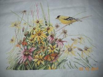Nationally Marjolein Pallette In Bastin