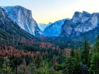 Wallpaper Mountains Trees Distance