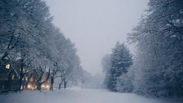 Snow Day Pictures Image