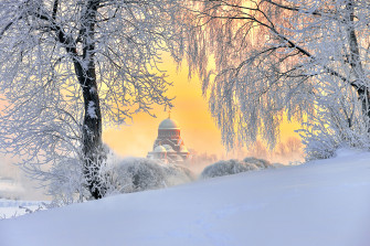 Pictures St Petersburg Russia Winter Nature Snow Trees