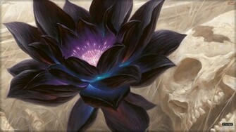 Wallpaper Of The Day Black Lotus Daily Mtg Magic Gathering