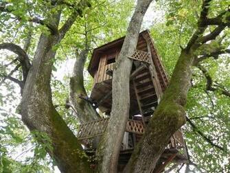 Tree House HD Wallpaper