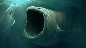 Ocean Fish Wallpaper HD Net