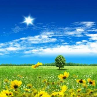 iPad Background Summer My Retina HD