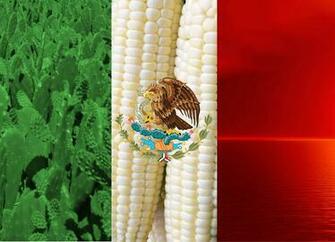 Proper Mexican Flag Wallpaper