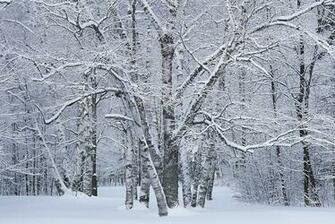 Winter Wonderland Traveler Photo Contest National Geographic