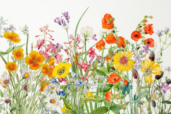 Vintage Wildflowers Wallpaper