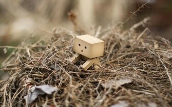 Danbo Jpg
