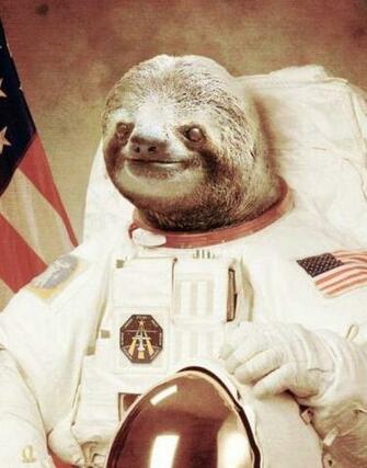 Slothstronaut Picture Animals Sloths Funny Stuff Things Smile