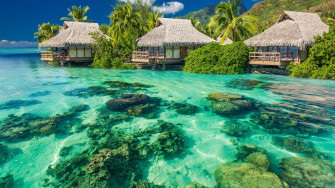 4k Tropical Wallpaper Background Image