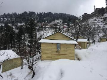 Apple Farms Kufri Shimla Photos Image And Wallpaper HD