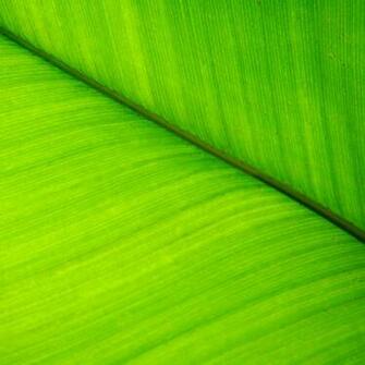 Best Wallpaper For All iPhone Retina Vista iPad