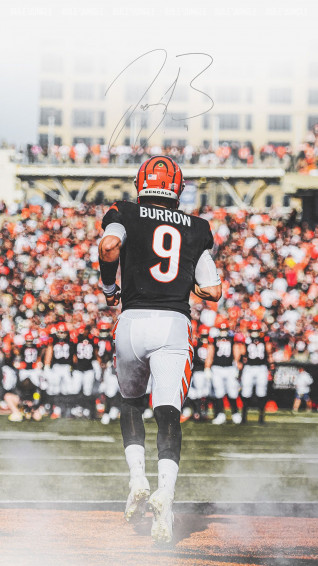 Bengals Wallpaper Cincinnati