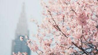 Spring Background