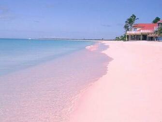 Bahamas Pink Sand Beach Wallpaper At Wallpaperbro
