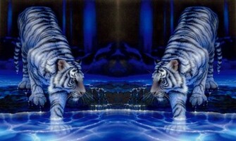 Wincustomize Explore Screensavers Twin Tigers
