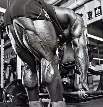Beast Motivation Kai Greene The Desired End Result