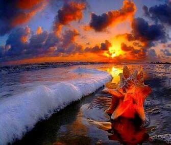 Summer Sunset Wallpaper