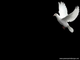 Church Background Powerpoint Background Image Jpg
