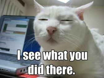 Wallpaper Lolcat