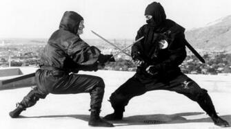 All Martial Arts