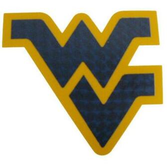 Pin West Virginia Flying Logo