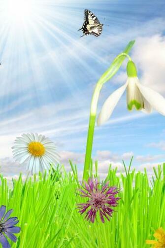 Happy Spring iPhone Wallpaper