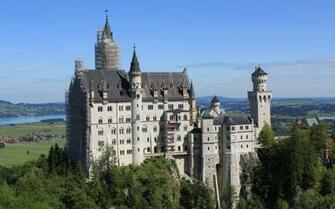 Neuschwanstein Castle City Gray Tree