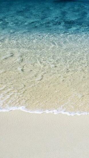 Summer Phone Wallpaper Paper