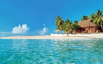 Hut On Tropical Beach HD Wallpaper Background Image