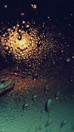 Android M Wallpaper Shy