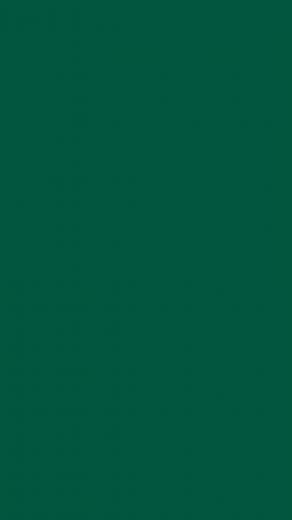 Sacramento State Green Solid Color Background