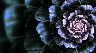 Wallpaper Flower Background Bright