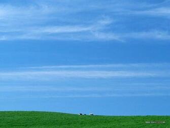 Country Field Blue Sky White Cloud Perfect Wallpaper