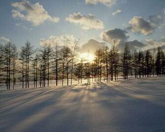 Landscapes Wallpaper Snowy Sunset