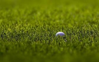 Golf Green Grass Space Widescreen HD Wallpaper