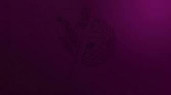 Get Your Htmi HD Wallpaper Designed For You Desktop And Mobile