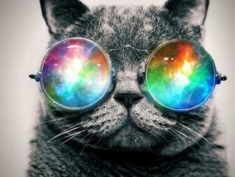 Trippy Cat Wallpaper By Nolvn Y0
