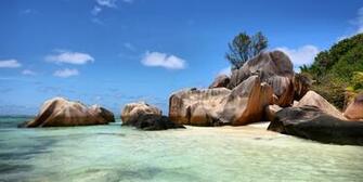 Wallpaper Murals Nature Animal HD 3d Beauty Full Size Widescreen