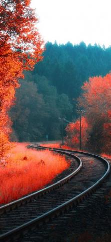Autumn iPhone HD Wallpaper