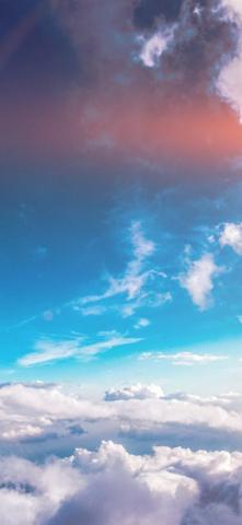 Summer Sunny Flare iPhone X Wallpaper