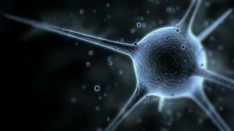 Cell Biology Wallpaper